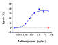 Anti-CD20 Reference Antibody (rituximab)